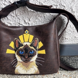 634241045_1478289737629830_4569646361026541344_n